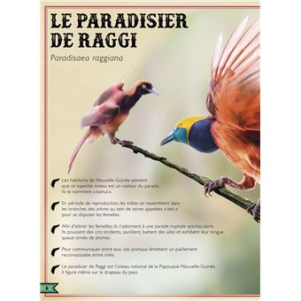 Le Livre extraordinaire des oiseaux spectaculaires