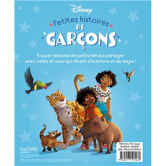 DISNEY - Petites Histoires de Garçons