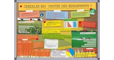 Céréales bio : chute des rendements ?