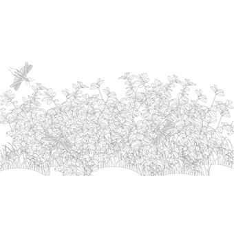 La forêt enchantée - Dessins à colorier