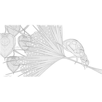 La forêt enchantée - Dessins à colorier