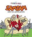 SamSam - Ma vie de héros, Tome 05
