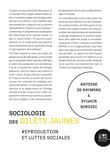 Sociologie des Gilets jaunes