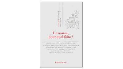Le roman, pour quoi faire ?