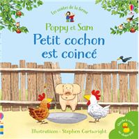 Petit cochon est coincé