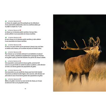 L'examen du permis de chasser 2023