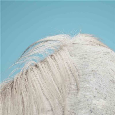 All yours Inclus coupon MP3