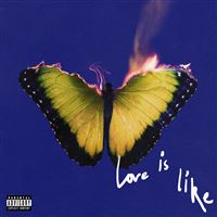 Love Is Like