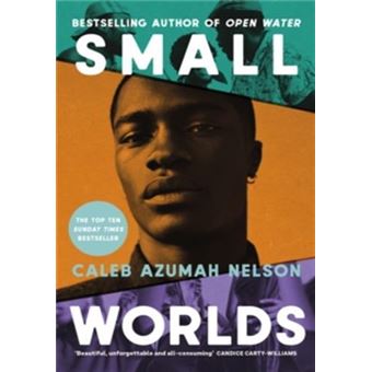 Small Worlds