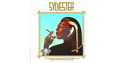 Do You Wanna Funk