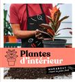 Plantes d'intérieur