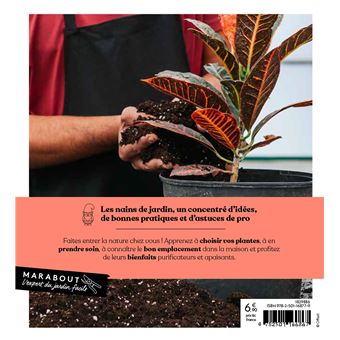 Plantes d'intérieur