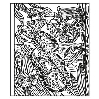 La forêt tropicale - La peinture magique