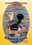 Canard gris et canard vert
