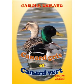 Canard gris et canard vert