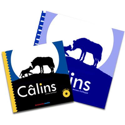 CALINS (+CD +braille et gros caractères)