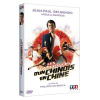 Les tribulations d'un chinois en Chine