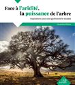 Face à l'aridité, la puissance de l'arbre