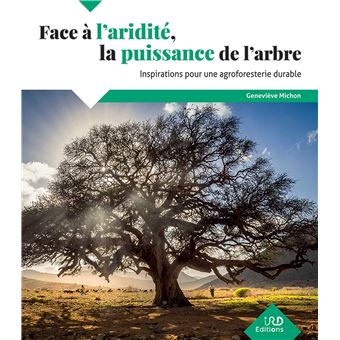 Face à l'aridité, la puissance de l'arbre