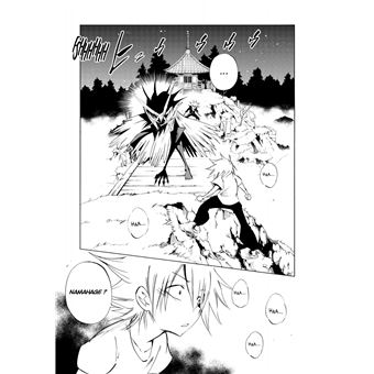 Shaman King - Flowers - Tome 4