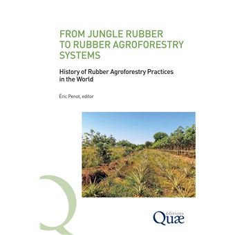 From Jungle Rubber to Rubber Agroforestry Systems