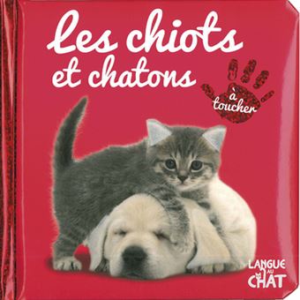 Bebe Touche A Tout Les Chiots Et Chatons Tome 5d Tome 5 Cartonne Collectif Lea Thomatteo Achat Livre Fnac