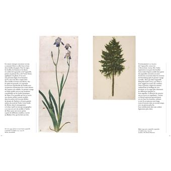 Dürer par le détail