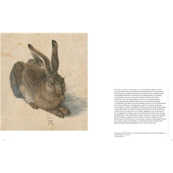 Dürer par le détail