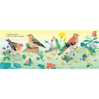 Chants d'oiseaux de la forêt