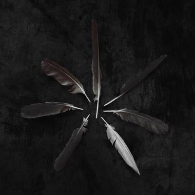 Dust and disquiet