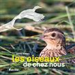 Les oiseaux de chez nous