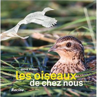 Les oiseaux de chez nous