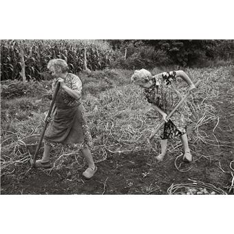 Guy Hersant, un photographe en campagne