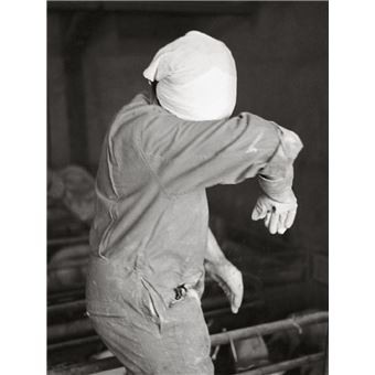 Guy Hersant, un photographe en campagne