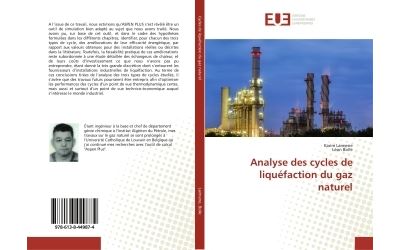 Analyse des cycles de liquéfaction du gaz naturel