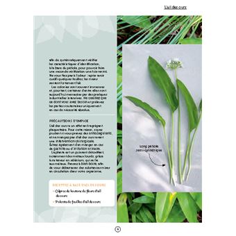 20 plantes multi-usages pour devenir autonome. Se nourrir, se soigner, se chauffer, fabriquer