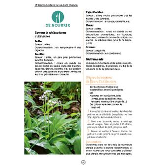 20 plantes multi-usages pour devenir autonome. Se nourrir, se soigner, se chauffer, fabriquer