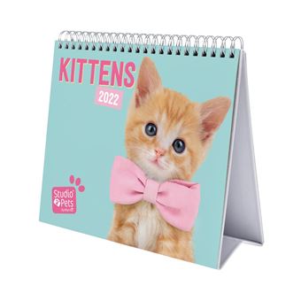 Calendrier bureau 2022 Studio Pets Cats
