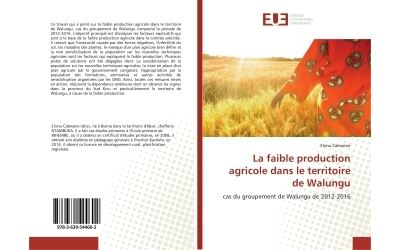 La faible production agricole dans le territoire de Walungu