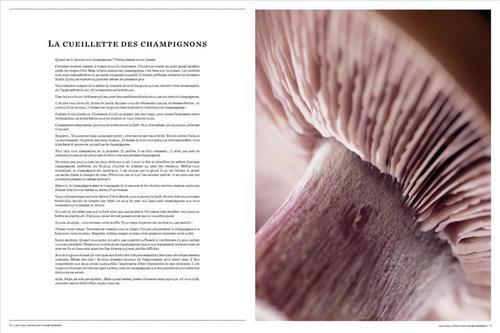Champignons.jpg