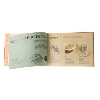 La fabuleuse histoire de la terre