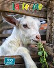 Les animaux de la ferme