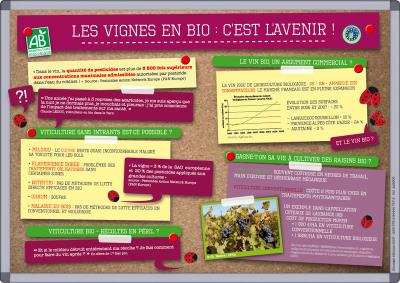 Vignes en bio : c'est l'avenir
