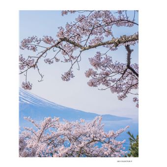 L'esprit du Japon - Par les plus grands photographes - GEO Collection