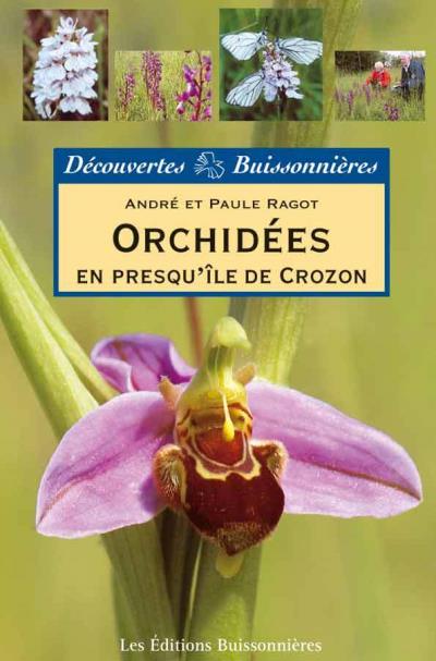 Orchidées en presqu'île de Crozon