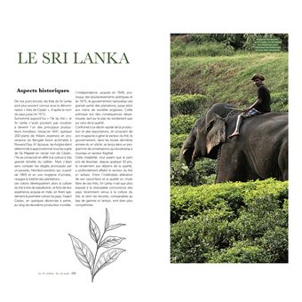 Le guide de dégustation de l'amateur de thé