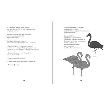The Black Flamingo