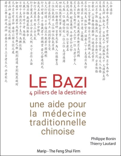 Le bazi 4 pilliers de la destinee une aide pour la medecine
