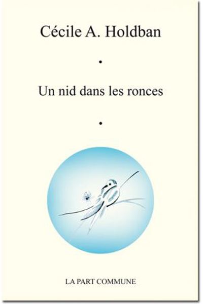 Un nid dans les ronces