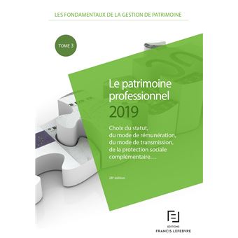 Le Patrimoine professionnel 2019